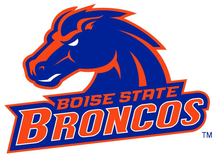 Boise State Broncos 2002-2012 Secondary Logo v26 diy iron on heat transfer